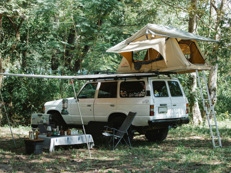 How To Keep Mosquitoes Out Of Your RV And Tent