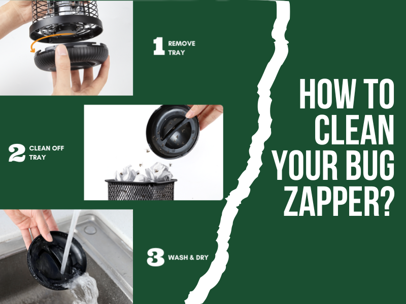 How to Clean Your Bug Zapper?