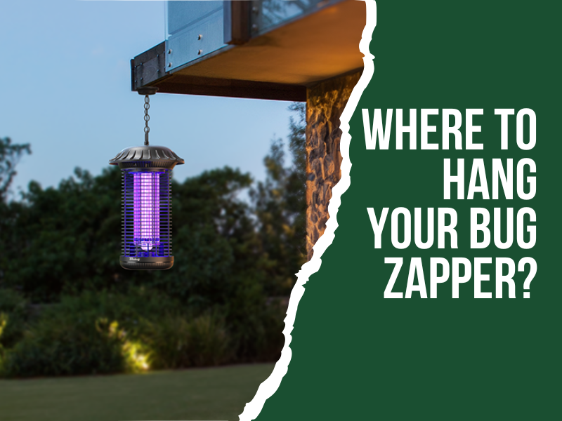 Where to Place Bug Zappers: Expert Tips for a Pest-Free Home